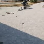 Paving Services